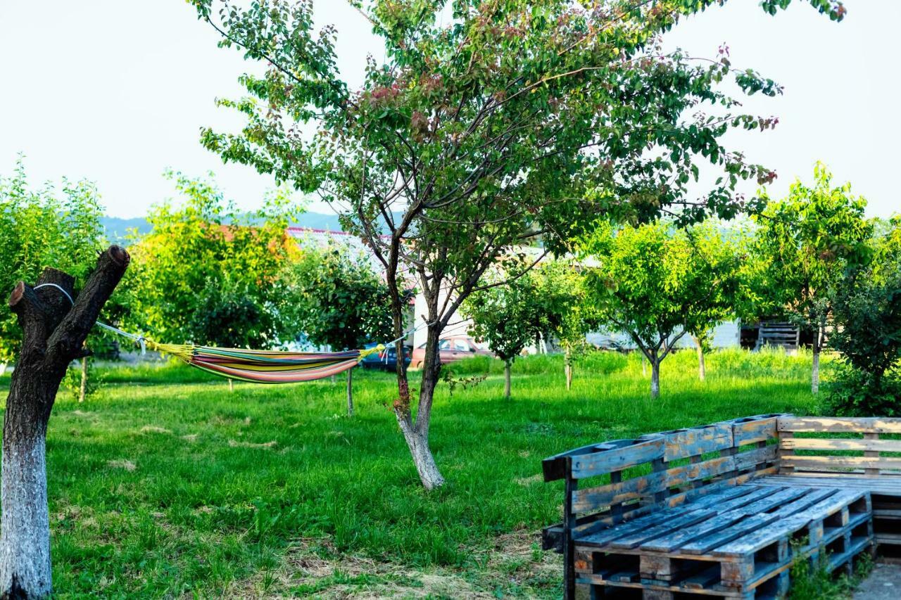 Pensiunea Marmis Riu Barbat Exterior foto
